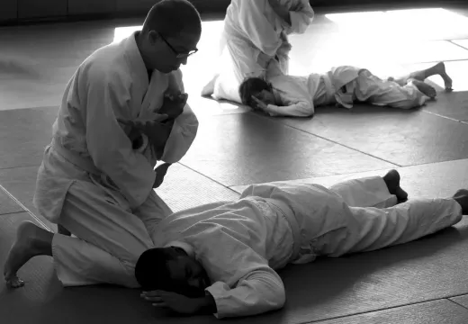 Dominando o Hapkido: O Melhor Sistema de Autodefesa com Bloqueios Dinâmicos de Articulação