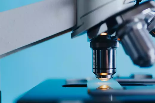Do iniciante ao especialista: técnicas essenciais para todo artista marcial dominar