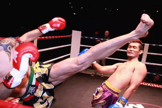 Dominando a arte das artes marciais: uma jornada pelos diversos estilos e técnicas