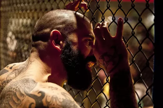 Revelando as melhores probabilidades de luta em artes marciais no UFC e MMA